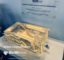 Bio3dmodel e Solidworld Group Creano un nuovo Simulatore Aortico in 3D per Accesso Endovascolare