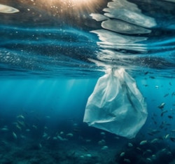 Plastica, il vademecum di medici e pediatri per evitarne l’assorbimento